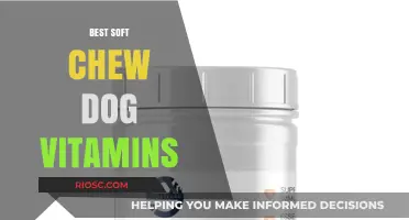 Top Soft Chew Dog Vitamins for Optimal Health and Wellness
