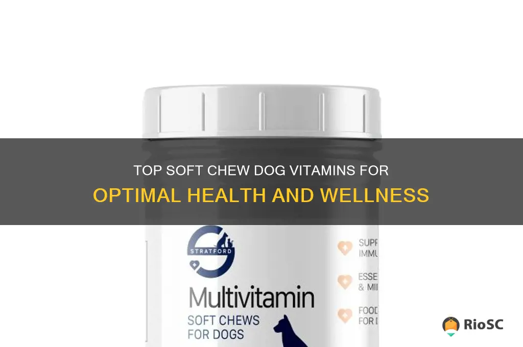 best soft chew dog vitamins