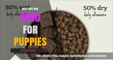 Nourishing Growth: Top Soft Dog Food Picks for Your Puppy's Health and Happiness