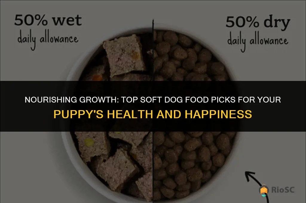 best soft dog food for puppies
