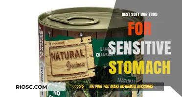 Gentle Nutrition: Top Soft Dog Food Options for Sensitive Stomachs