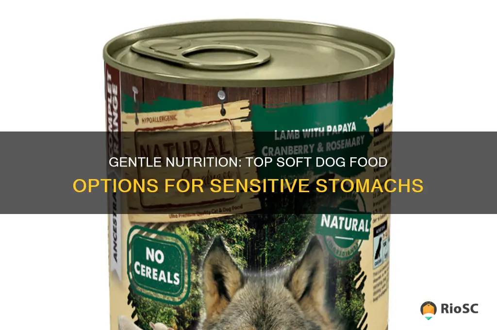 best soft dog food for sensitive stomach