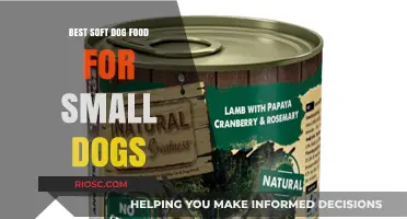 Top-Rated Soft Dog Food Options for Small Breeds: Nourish Your Tiny Companion with Ease