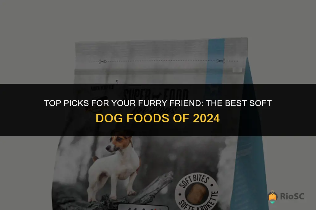 best soft dog food