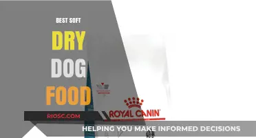 Top Picks for the Best Soft Dry Dog Food: Nutritious and Gentle on Sensitive Stomachs