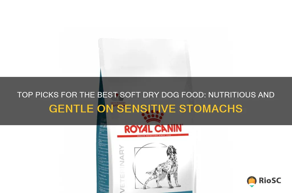best soft dry dog food