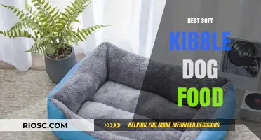 Top Picks for Best Soft Kibble Dog Food: Nutritious and Gentle on Sensitive Stomachs