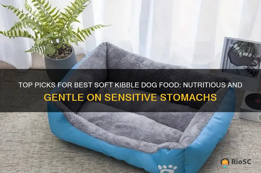 best soft kibble dog food