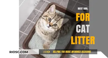 Top Soil-Based Cat Litter Options for Odor Control and Clumping Performance