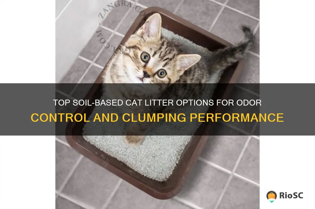 best soil for cat litter