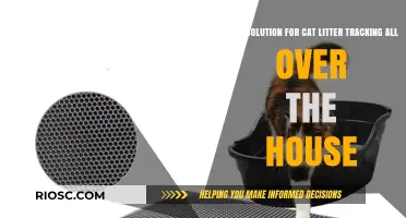 Stop the Mess: The Ultimate Solution to Prevent Cat Litter Tracking Throughout Your Home