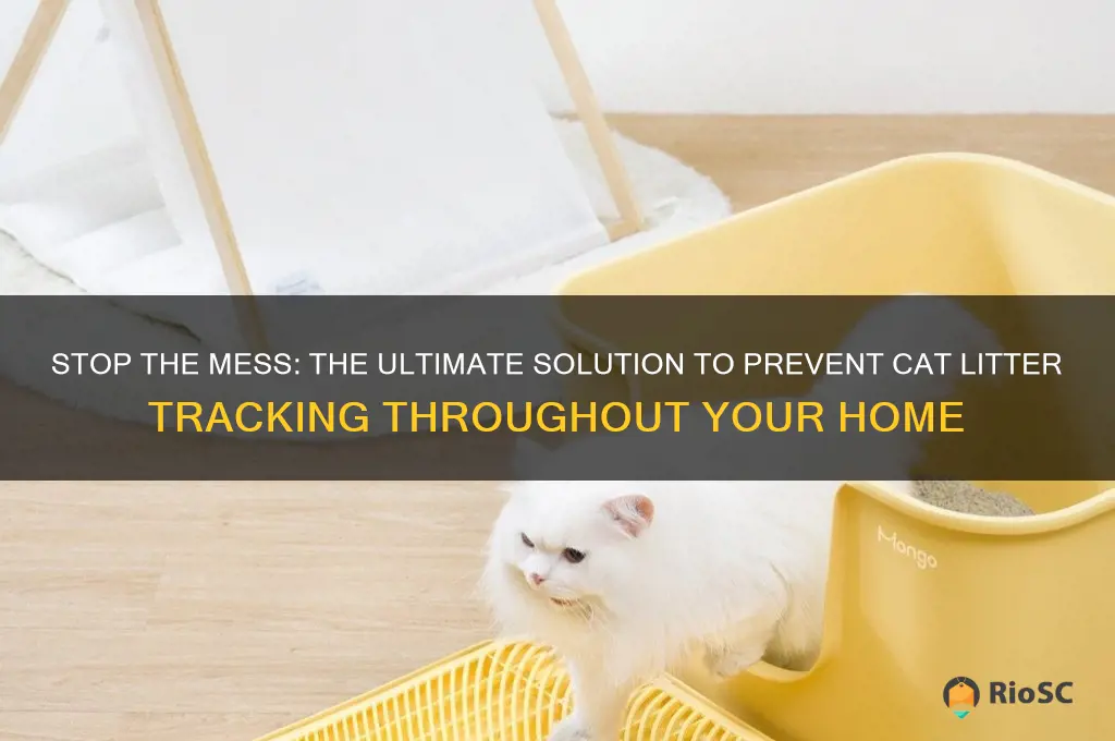 best solution for cat litter tracking all over the house