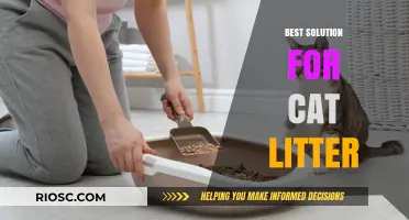 Eco-Friendly and Odor-Free: The Ultimate Solution for Cat Litter