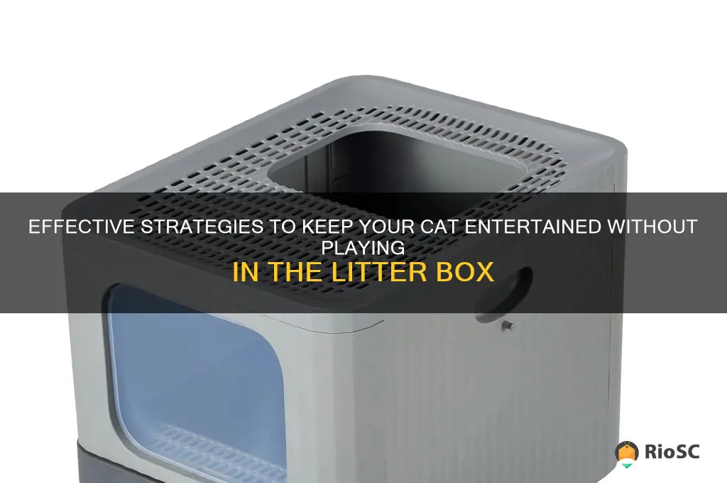 best solution for cat playing with litter