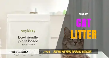 Eco-Friendly and Odor-Free: Discover the Best Soy Cat Litter for Your Feline Friend