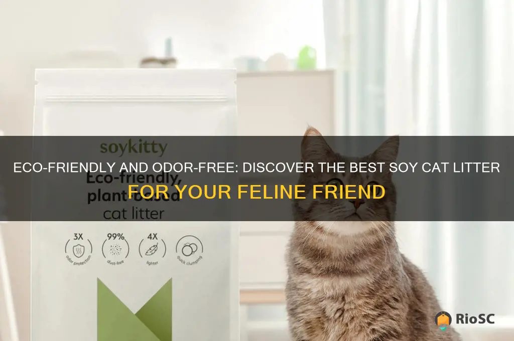best soy cat litter