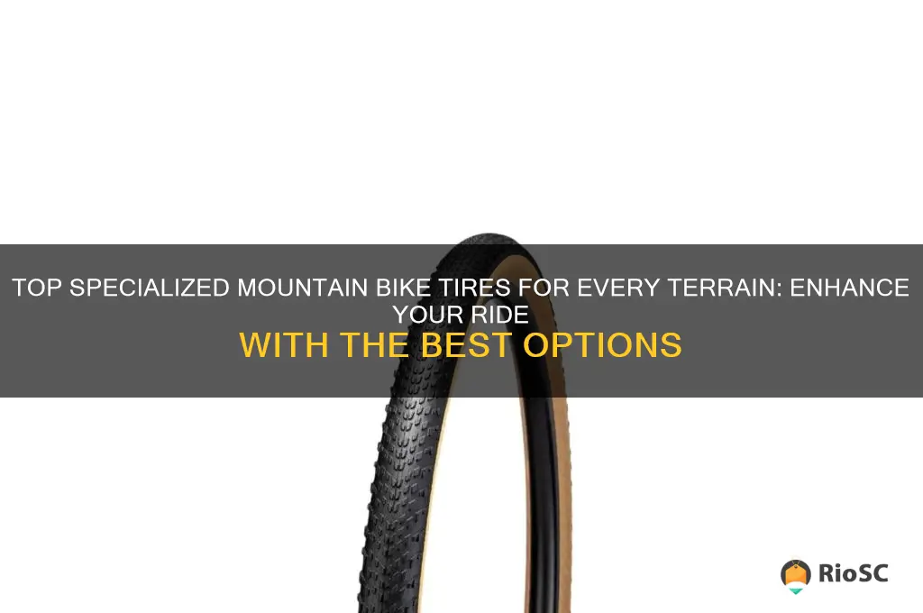 best specialized mountain bike tires