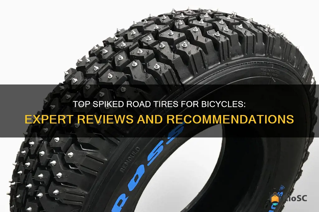 best spiked road tires for bicycles review