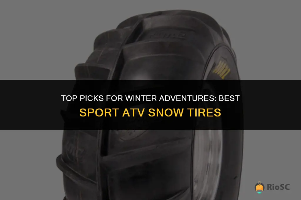 best sport atv snow tires