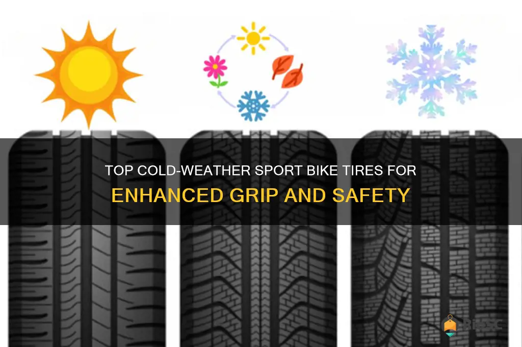 best sport bike tires for cold weather