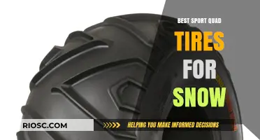 Top Picks for Winter: Best Sport Quad Tires for Snow Performance