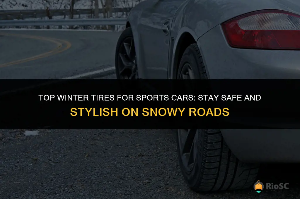 best sports car winter tires