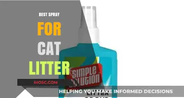 Top-Rated Cat Litter Sprays for Odor Control and Freshness