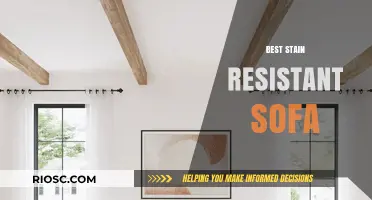 Ultimate Guide to Choosing the Best Stain-Resistant Sofa for Your Home