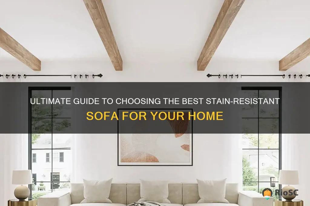 best stain resistant sofa