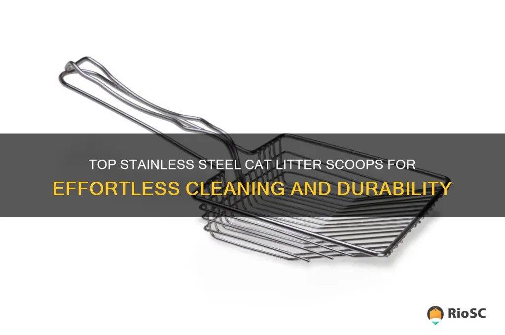 best stainless steel cat litter scoop