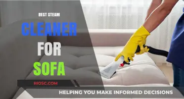 Ultimate Guide to Choosing the Best Steam Cleaner for Your Sofa: Top Picks and Tips