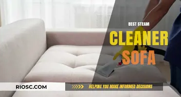 Ultimate Guide to Choosing the Best Steam Cleaner for Your Sofa: Tips, Reviews, and Top Picks
