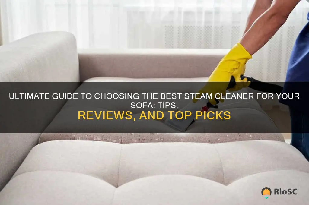 best steam cleaner sofa
