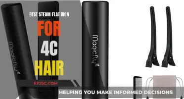 Steam Power: Revolutionizing 4C Hair Care with the Best Steam Flat Irons