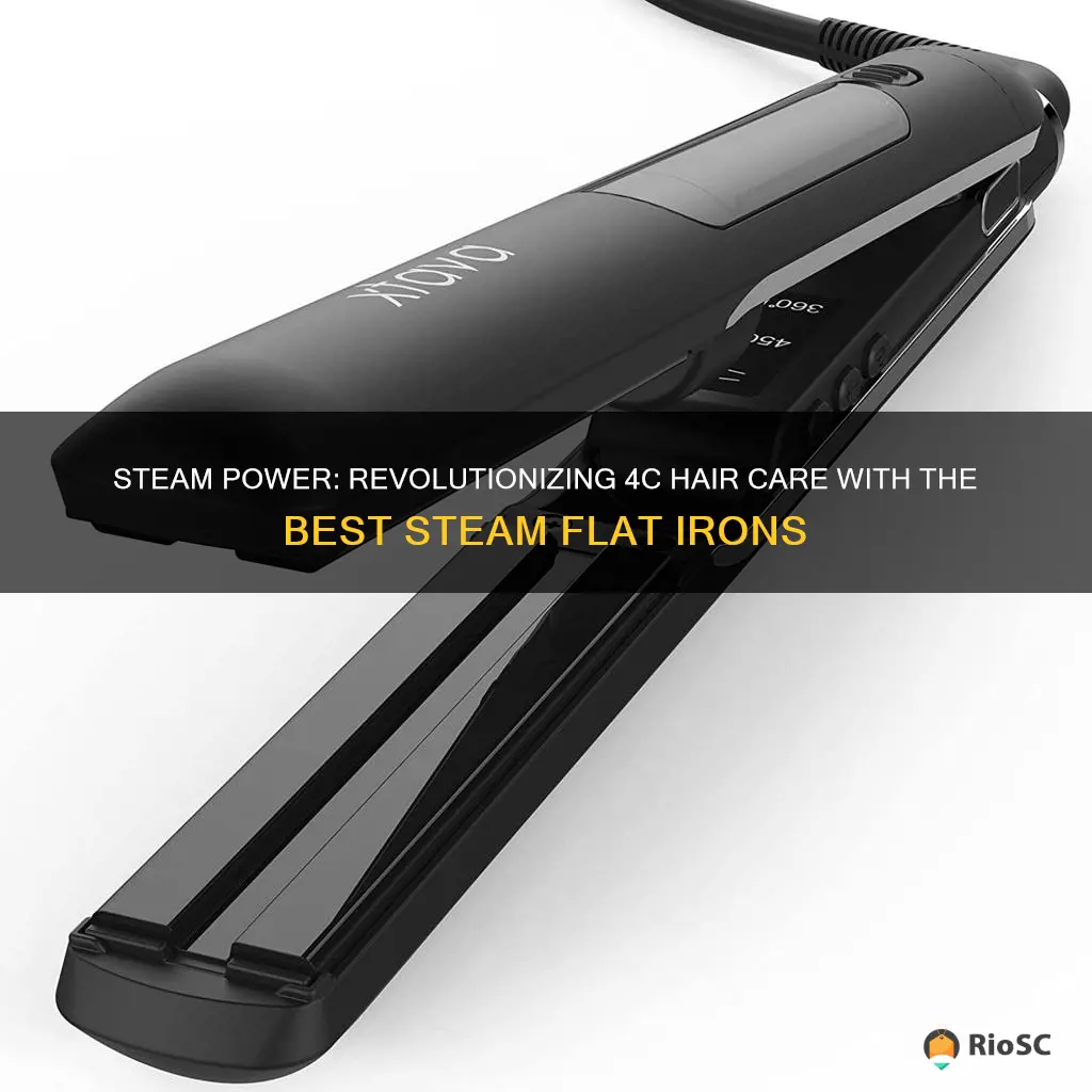 best steam flat iron for 4c hair