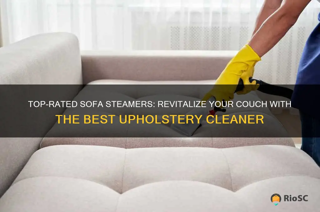 best steamer for sofa