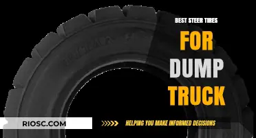 Top-Rated Steer Tires for Dump Trucks: Maximizing Performance and Durability