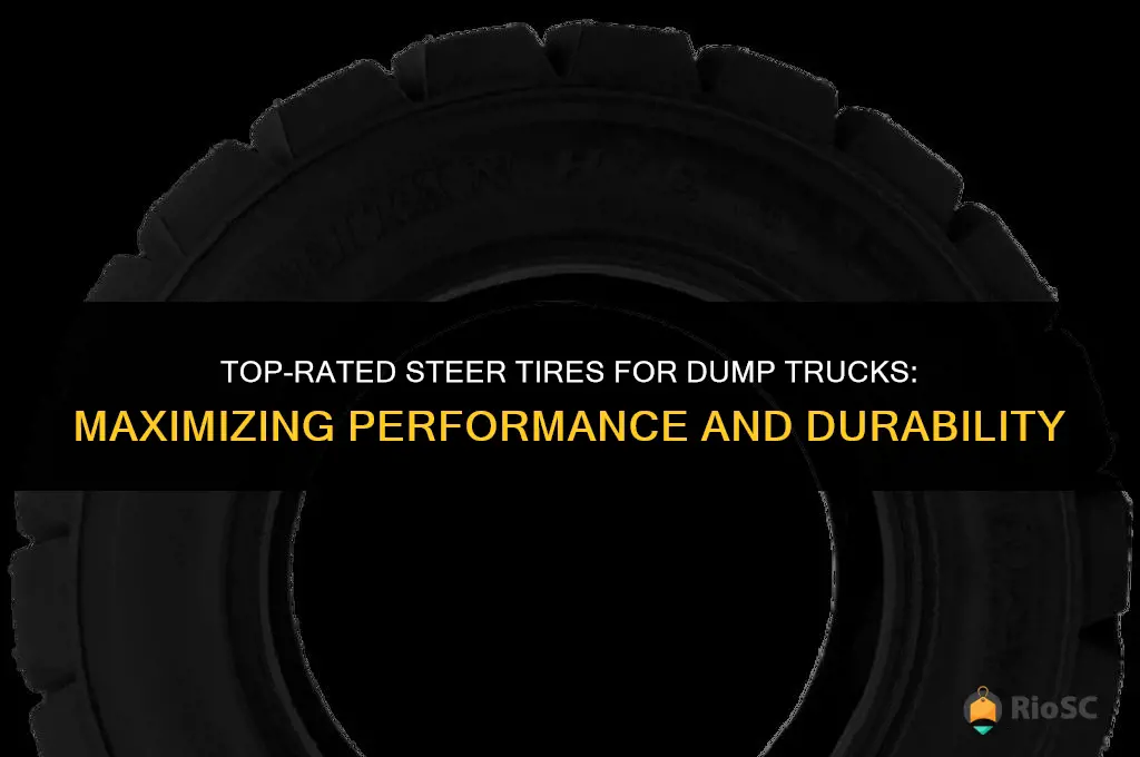 best steer tires for dump truck