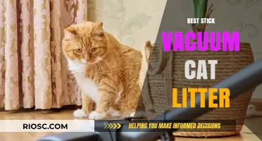 Top Stick Vacuums for Effortless Cat Litter Cleanup: A Pet Owner's Guide