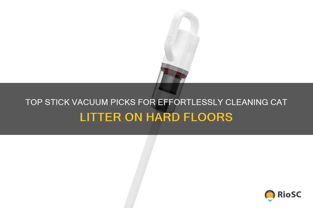 best stick vacuum for cat litter on hard floors