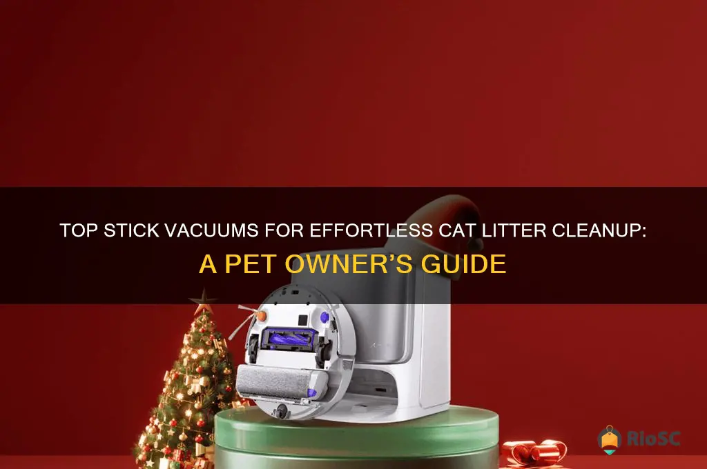 best stick vacuum for cat litter