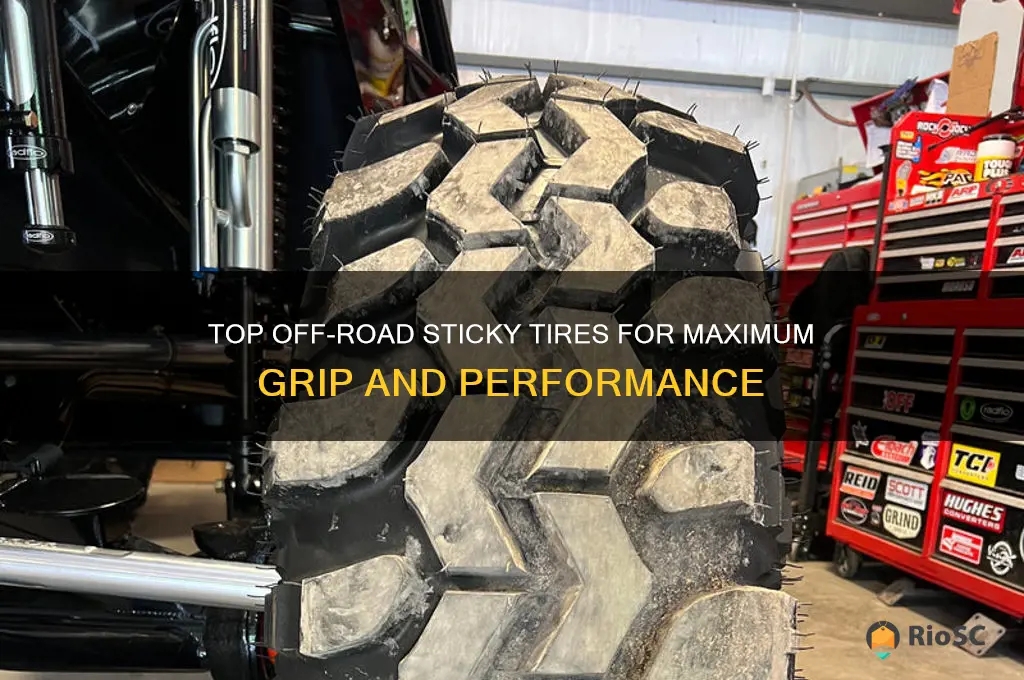 best sticky tires off road