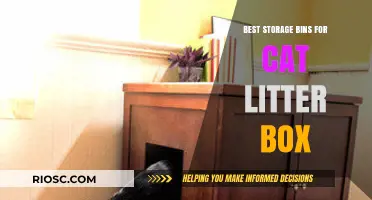 Top Storage Solutions for Cat Litter Boxes: Stylish and Functional Bins to Keep Your Space Tidy