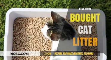 Top Store-Bought Cat Litter Options for Odor Control, Clumping, and Low Dust