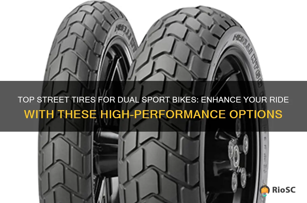 best street tires for dual sport bike