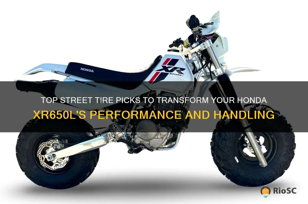 best street tires for honda xr650l