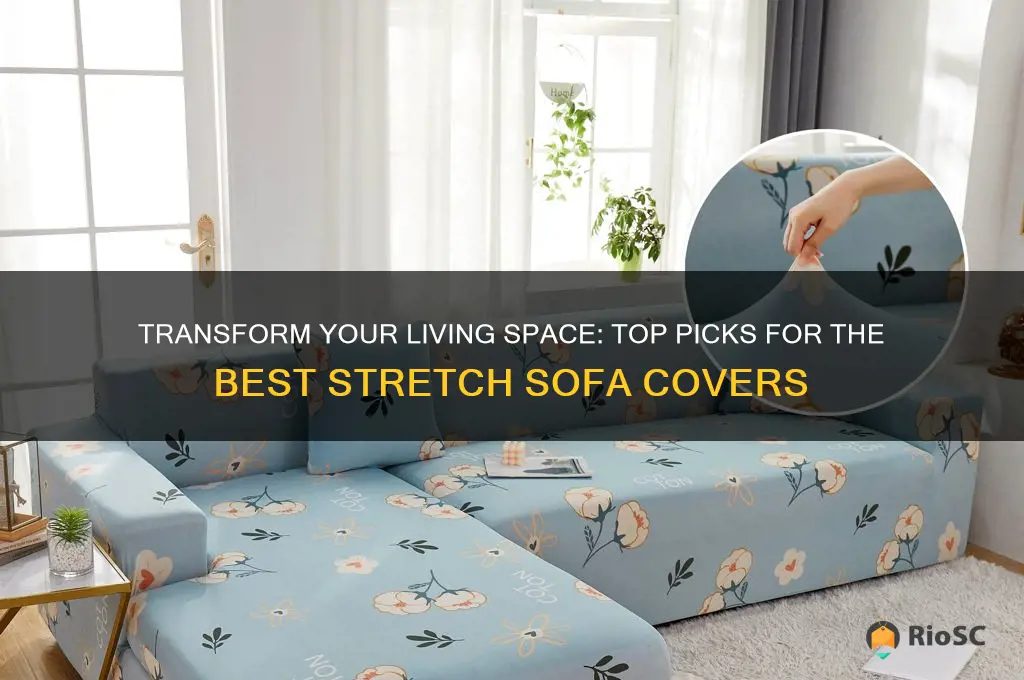 best stretch sofa covers