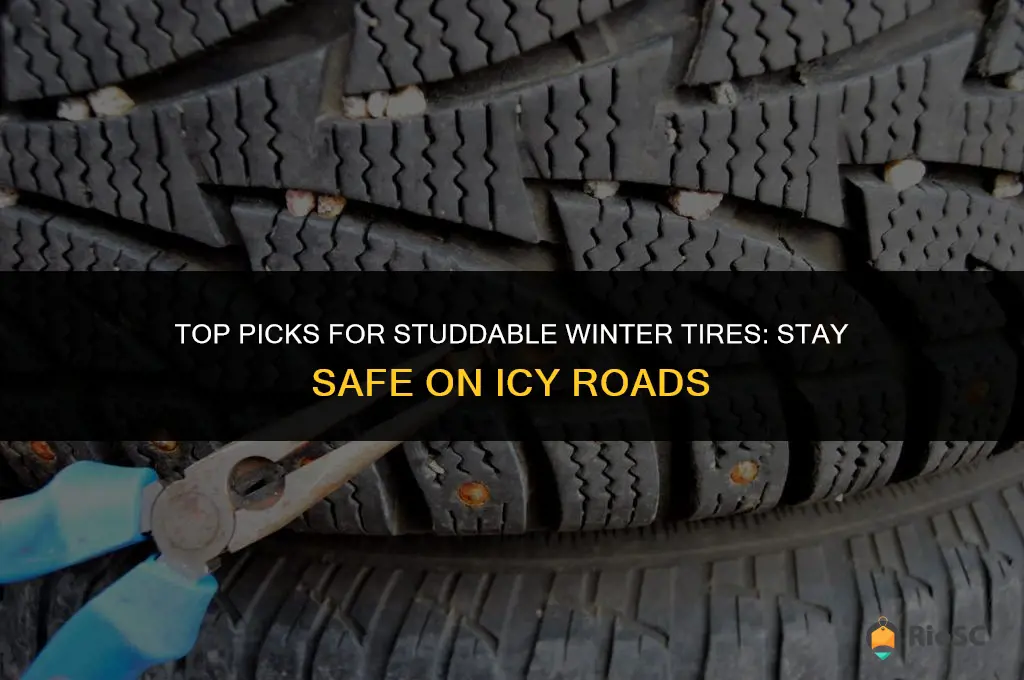 best studdable winter tires