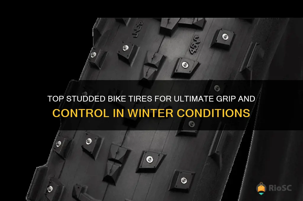 best studded bike tires