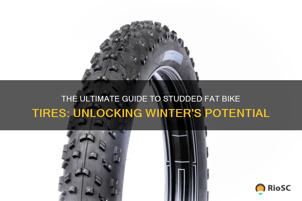 best studded fat bike tires